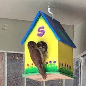 Meet your Posher, Patsy